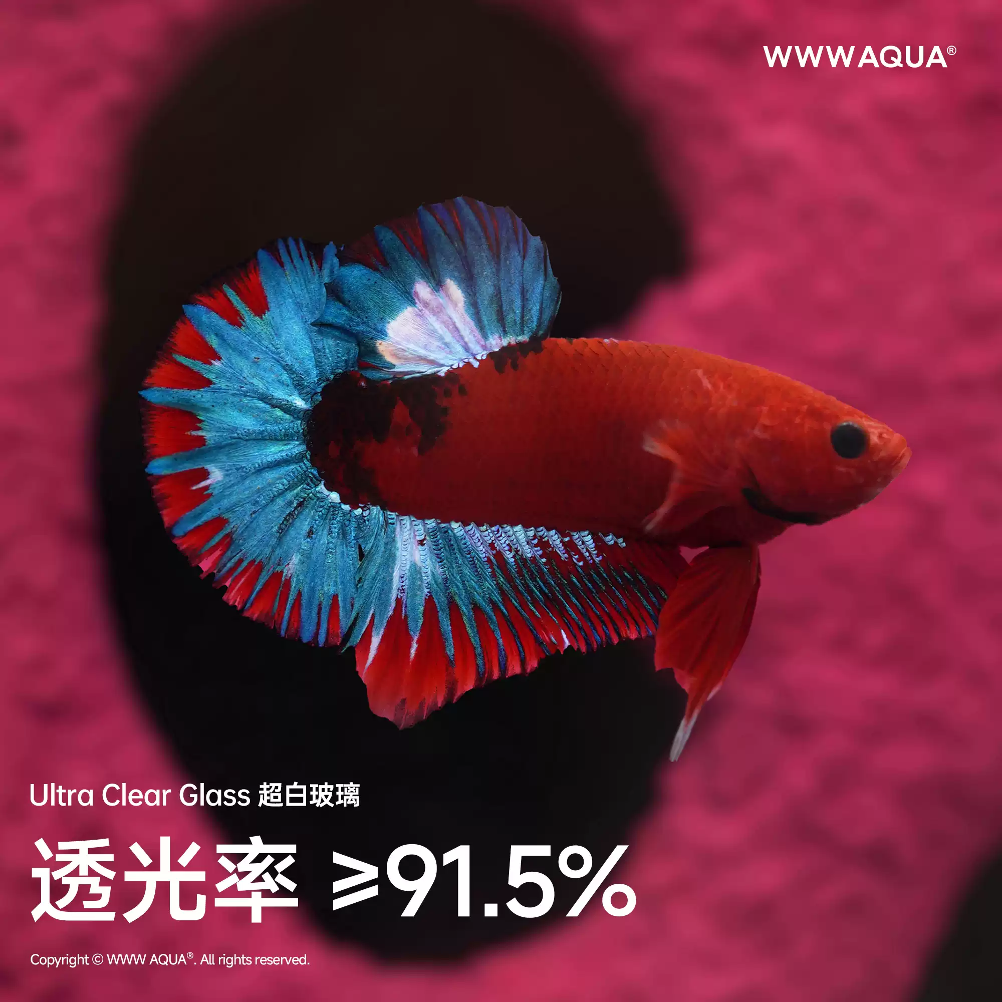 ユニバース食料品店の個性的なシリーズ BONBOBO ファッ - Home Improvement Stores のレビューと価格